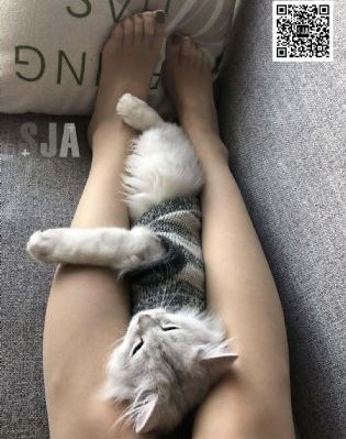 40集狂飙免费看全集_BD国语高清完整版播放