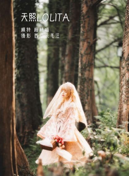 勃朗特姐妹1979_720在线视频观看